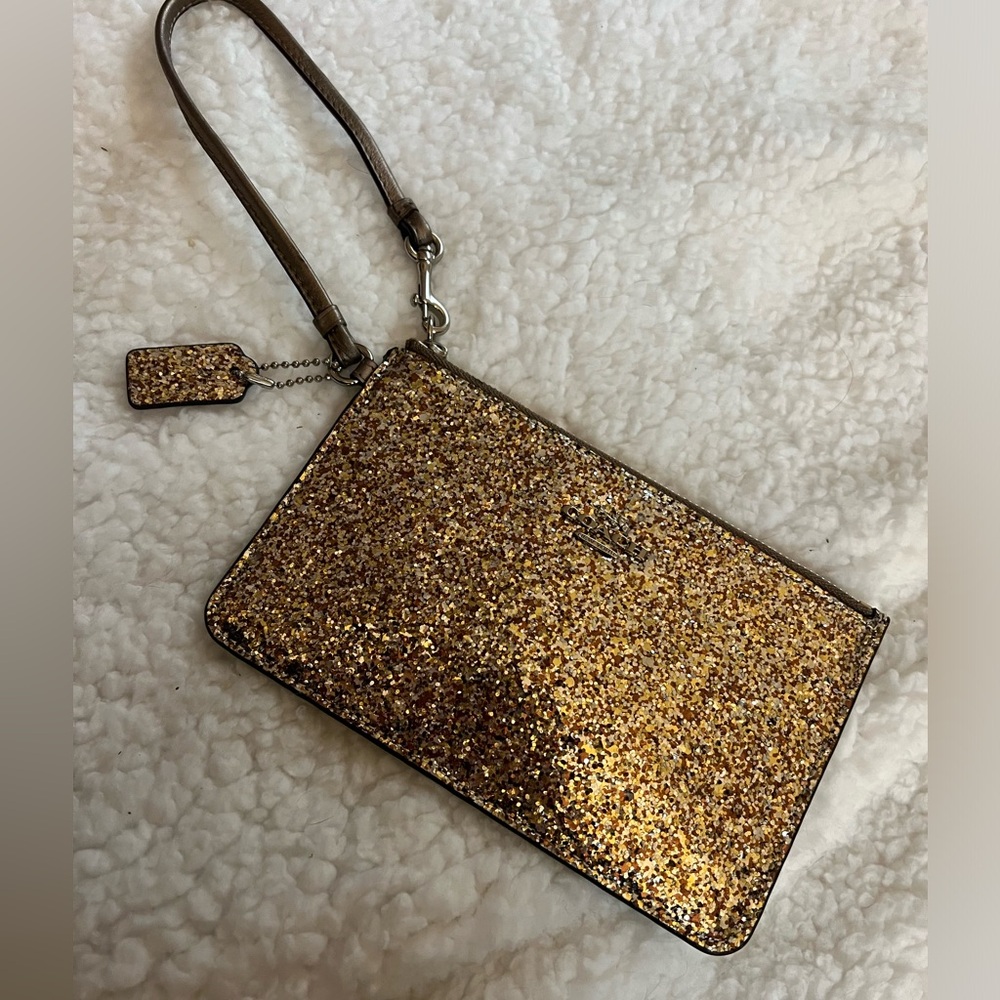 Coach small glitter purse